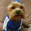 kameex7