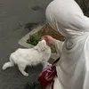 moussa3f15