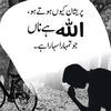 harisqureshi9453