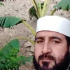 sayedkamalshalman