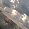 maysaa_wattar276