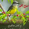 amro2158