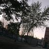 drilly83