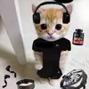 .big_gab