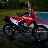 thomas_25