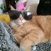 chonkercatlenny