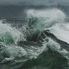 _.nereid