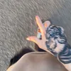 aylia.z
