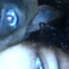 rashel_dg0