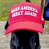conservativenellie