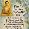 quoc_golden