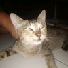 miwmiwmoms