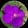 anh.tun.nguyn753