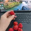 hanna_5206