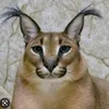 userp4loxdykw8