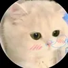 maianh_305