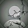 a_hmad526