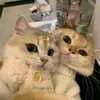 cloverchlo3