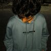 day_hensim