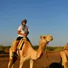 picchiatoredigay