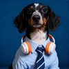 thepetlover90