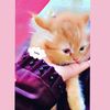 callme1mishi4