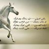 aboumar868