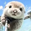 meooo107