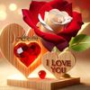 jammy.gonzalis.en