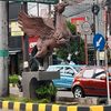 braja1237