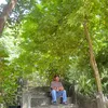 anhvunguyen923