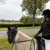 jaylinspark