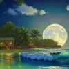 .harzz5