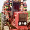 alimardan083