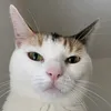 lulettedu67