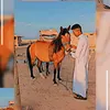 user76ac77u4xd