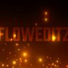 floweditz19