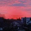 _wiktorr_
