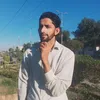 haiderhashmioffic