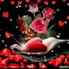 user2145169306601