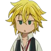 Melio_sch