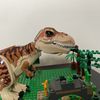 trex_stop_motion