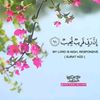 romamohamed9999