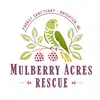 Mulberry Acres Rescue