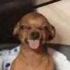 azkve00