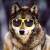 the_dude_werewolf