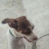 nohemijimnez3