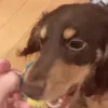 re_p__.0