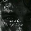 awara_panchi643