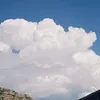 jojo_jostar1